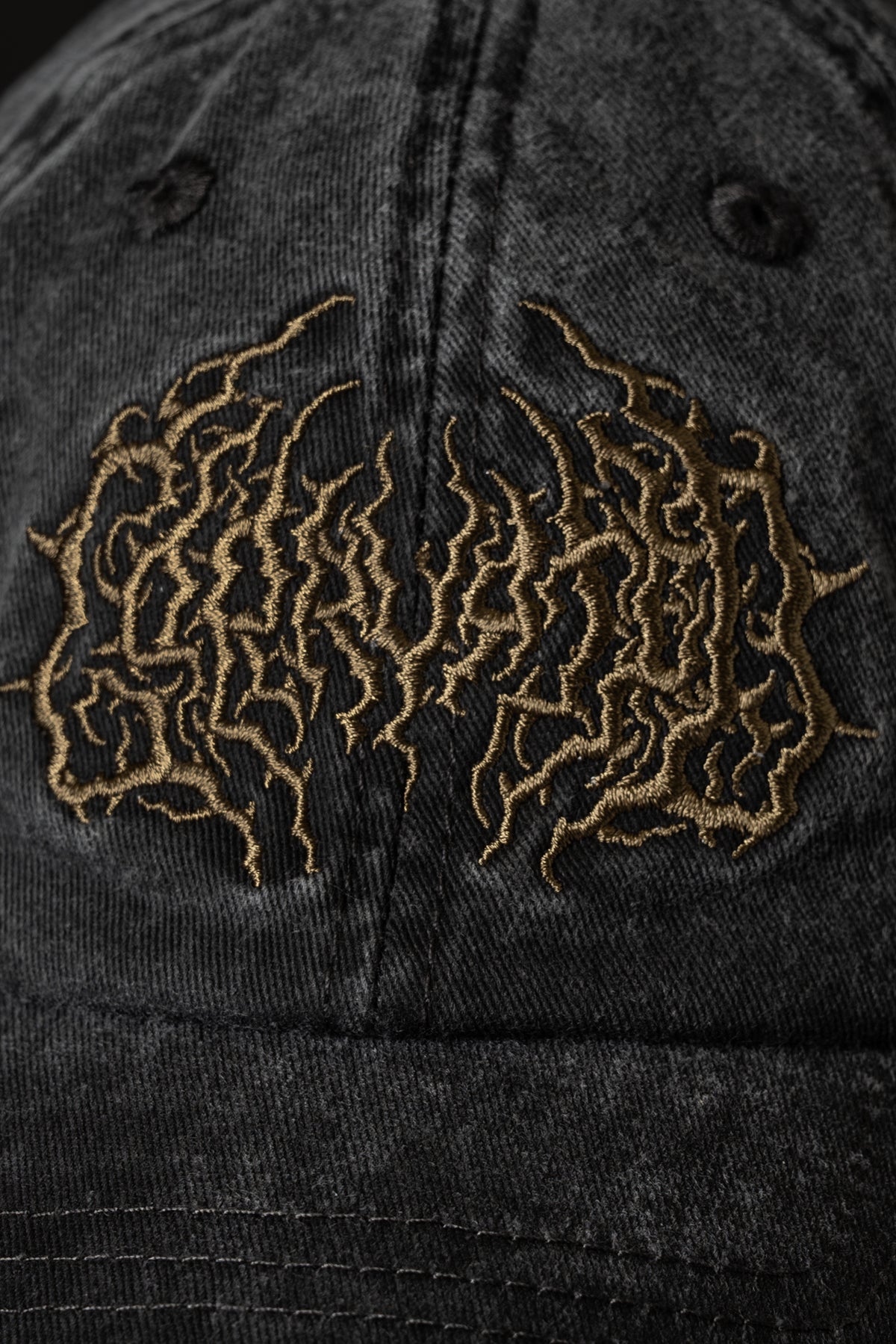 Corrupted Blood CORRUPTED Cap 462225